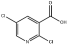 2,5-二氯煙酸