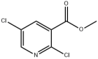 2,5-二氯煙酸甲酯